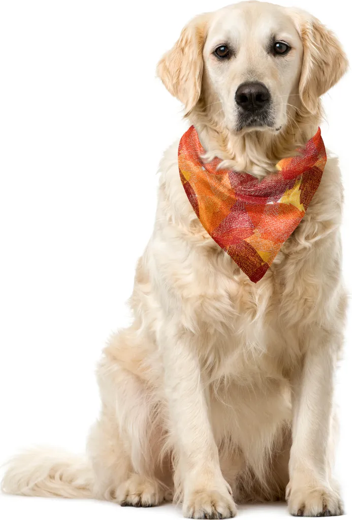 Bandana per Animali 40x40cm ABAKUHAUS Foglie Arancioni - Resistente