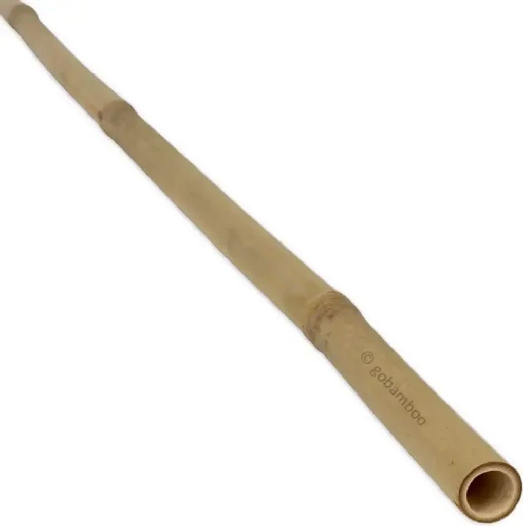 A single bamboo pole is shown diagonally against a white background.