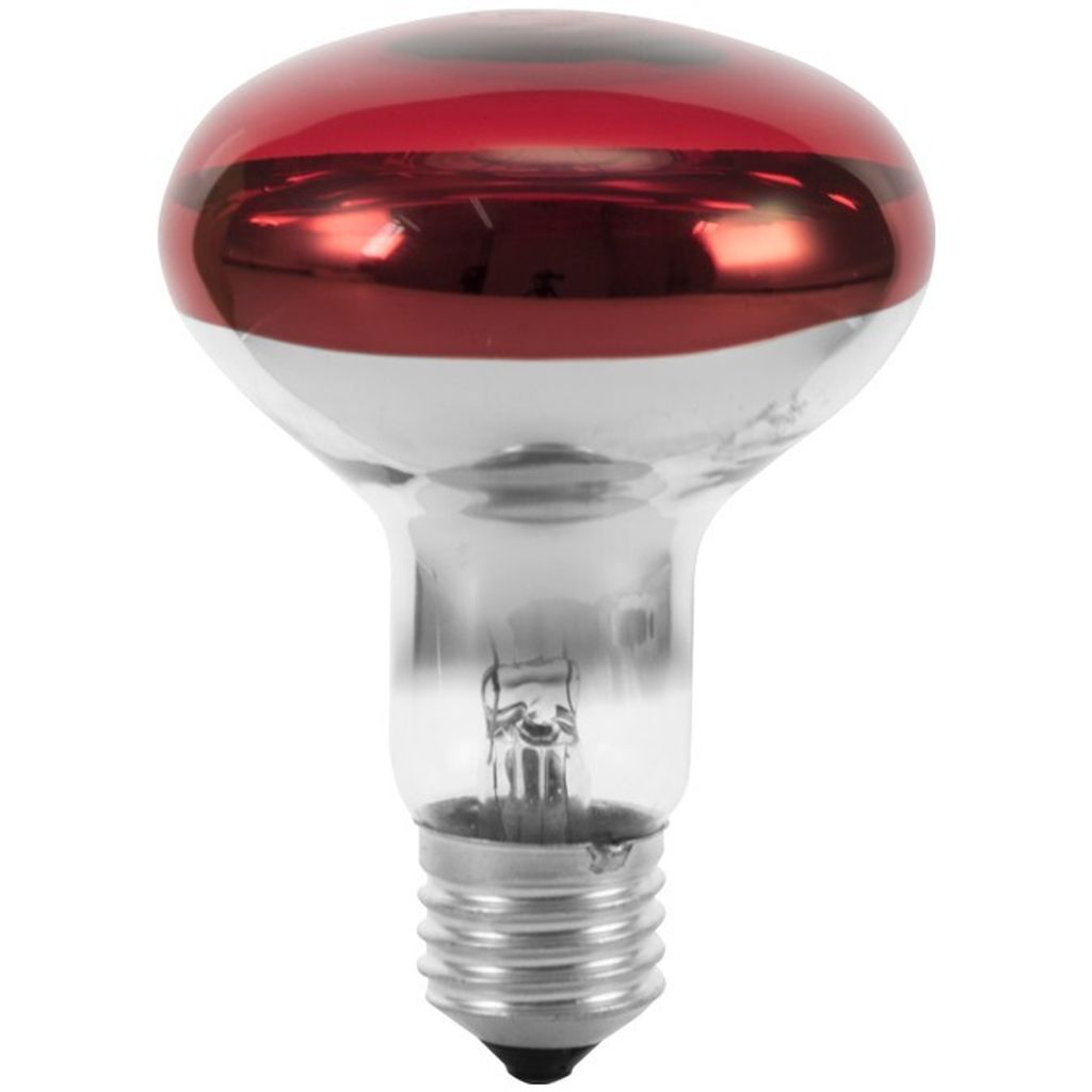 R80 Reflektor Glühlampe, 60 Watt, E27 Sockel, 230 Volt, Produktbild 