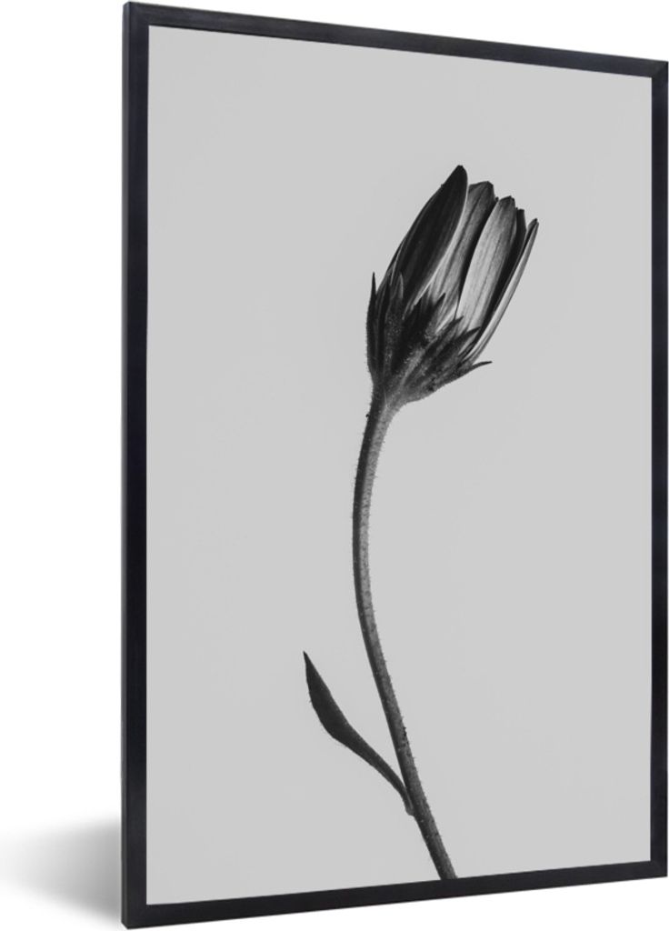 MuchoWow MuchoWow Gerahmtes Poster Pflanze - Makro - Schwarz - Weiß 20x30 cm - Poster mit zchwarzem Bilderrahmen - Drucken - Bilder Poster im ...