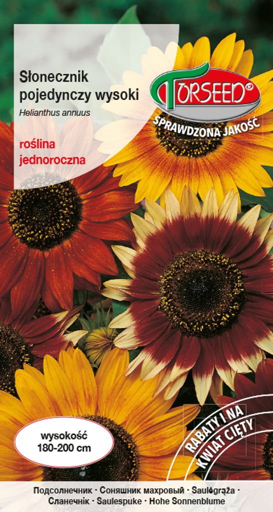Seeds of Flower Sonnenblume einzeln hoch - Torseed