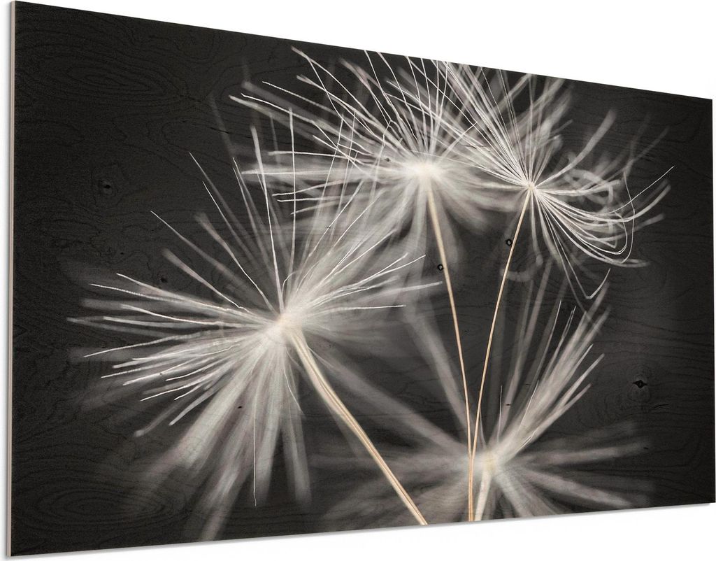 DEQORI Holzbild 100x50 cm 'Samen der Pusteblume' Bild auf Holz Wandbild Kunstdruck