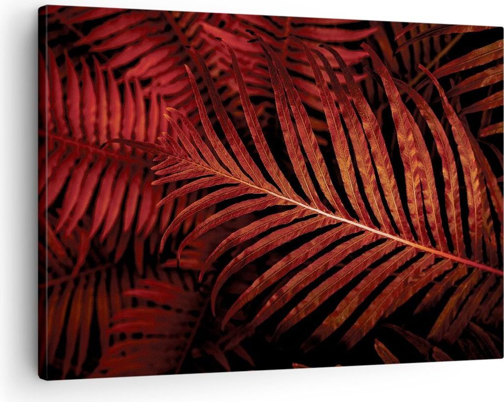 Bild auf Leinwand - Leinwandbild - Einteilig - Rot Blätter Palmen - 70x50cm - Wand Bild - Wanddeko - Wandbilder - Leinwanddruck - Bilder - Wanddek...