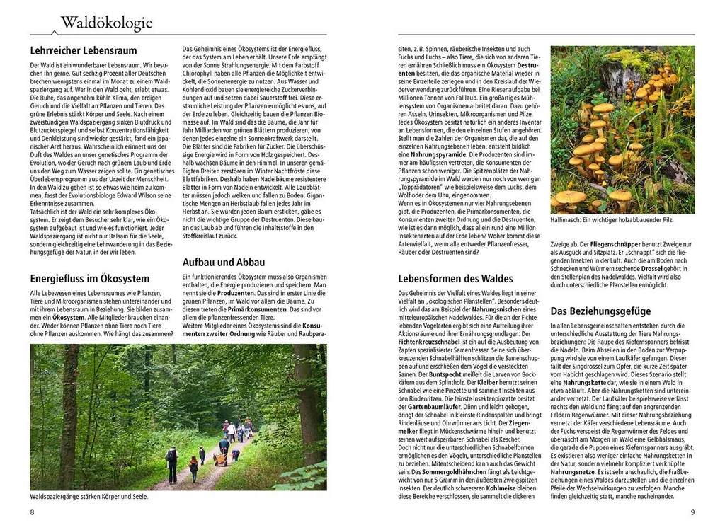 Guide forestier Der Kosmos Waldführer pour identifier la faune - 3
