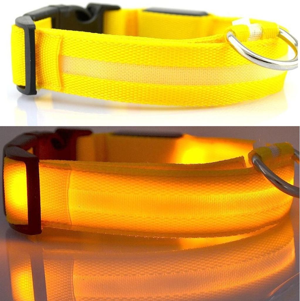 Hundehalsband Leuchthalsband Halsband für Hunde LED USB Aufladbar mit Akku Gelb - Größe M (37 - 46cm)