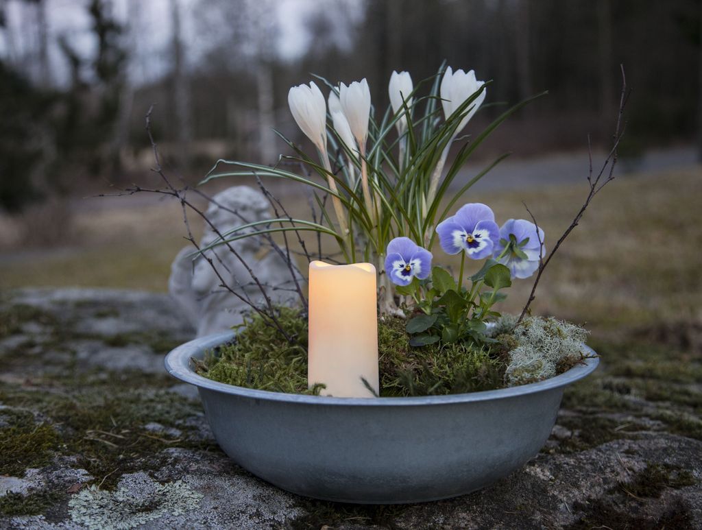 A decorative outdoor arrangement with a candle, white crocuses, and purple pansies in a grey bowl, placed on a mossy stone surface.