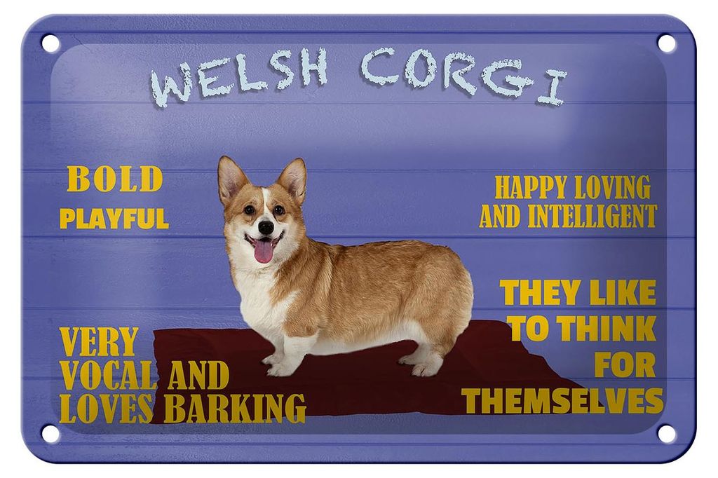 Blechschild Spruch 18x12cm Welsh Corgi Hund bold playful