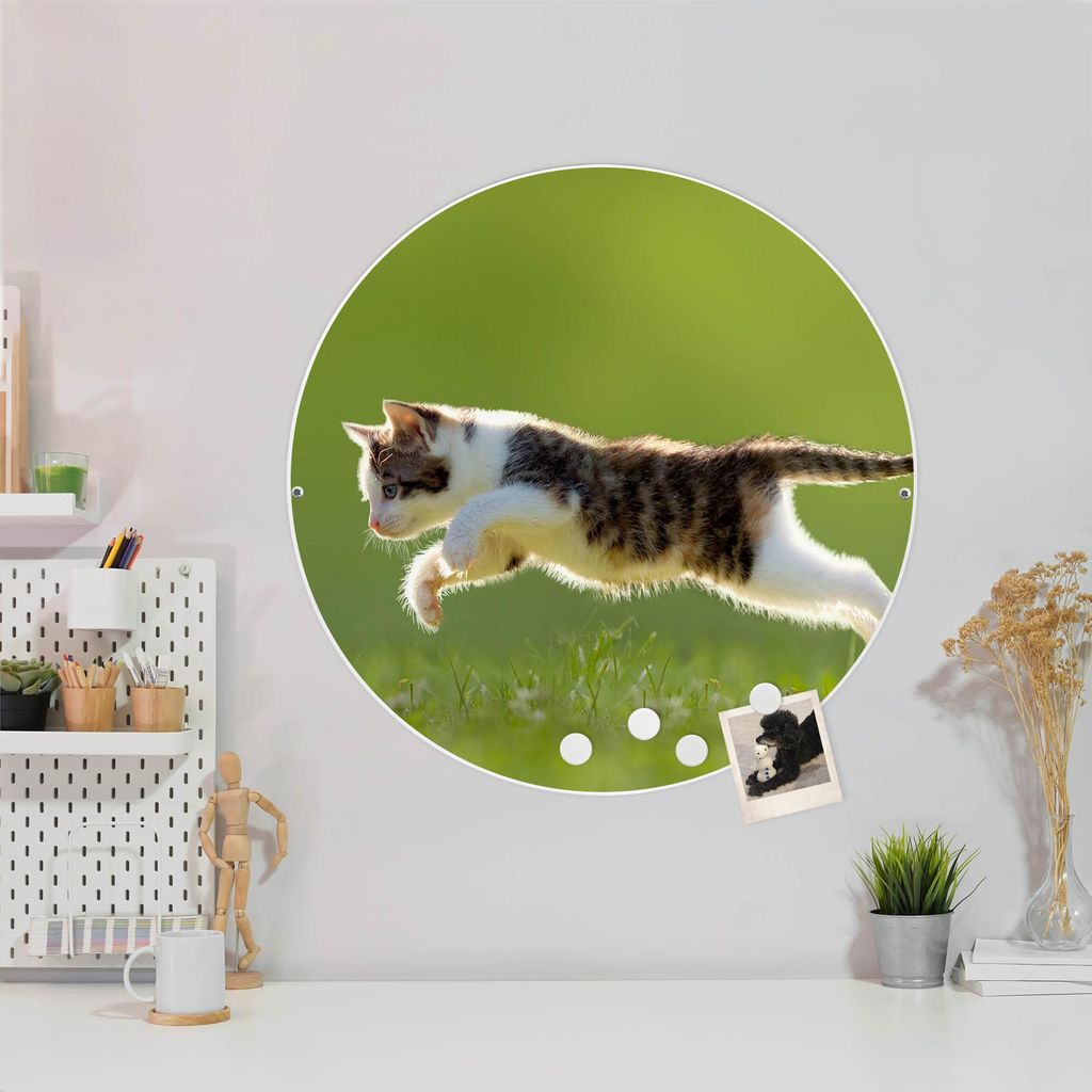 Design Stahlmagnettafel Weiß Rund 47cm Jagende Katze