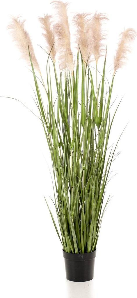 artplants.de Kunst Pampasgras Alcantara mit Rispen, grün, 175cm - Kunstgras Pampas/Pampasgras künstlich