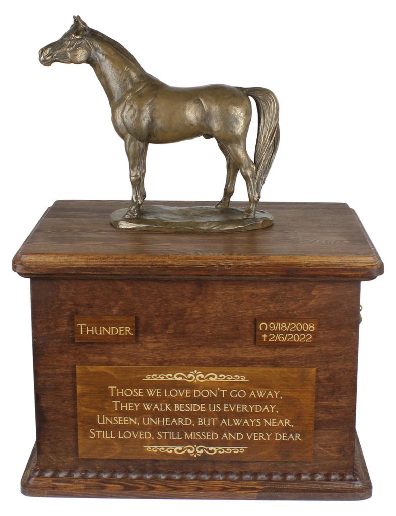 Australisches Zuchtpferd - Eine Urne für die Asche eines Pferdes mit einer Statue, personalisierte Urne mit Gravur, große Schachtel für Pferdeas...