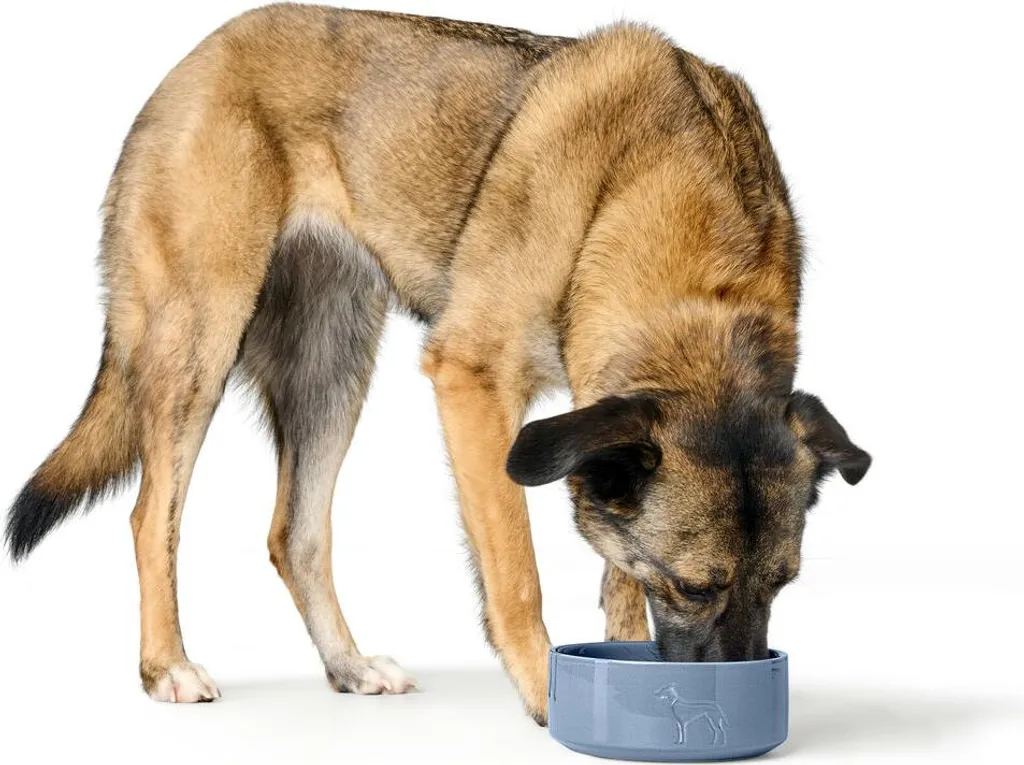 Ciotola Antiscivolo Hunter Osby 1,9L Blu - Igiene e Peso per Cani - 3