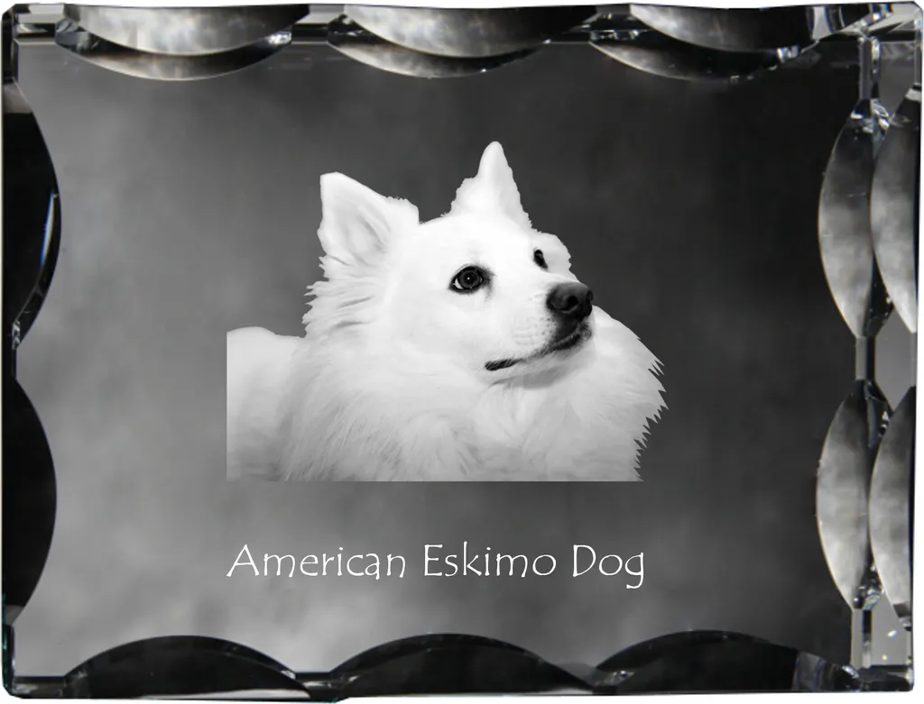 Art-Dog Statuetta Cristallo 3D Cane Eschimese Americano | Foto Incisa