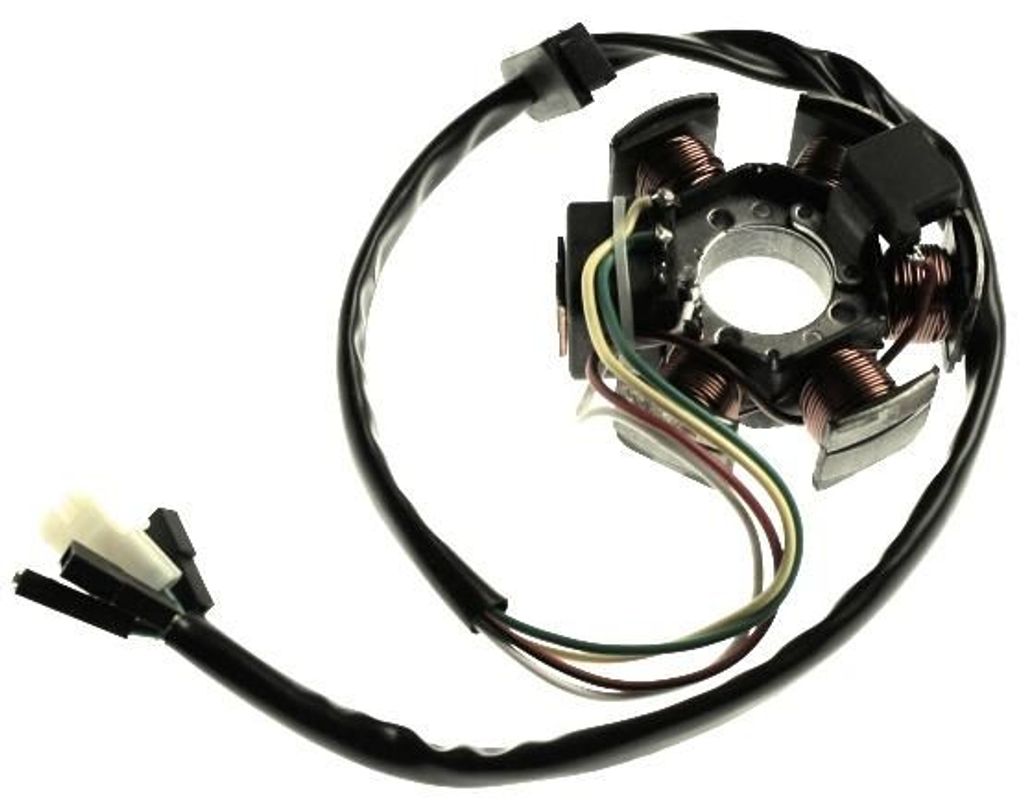 Lichtmaschine 12V für Minarelli AM3 AM4 AM5 AM6 Motor Derbi Senda Aprilia RX Rieju Yamaha