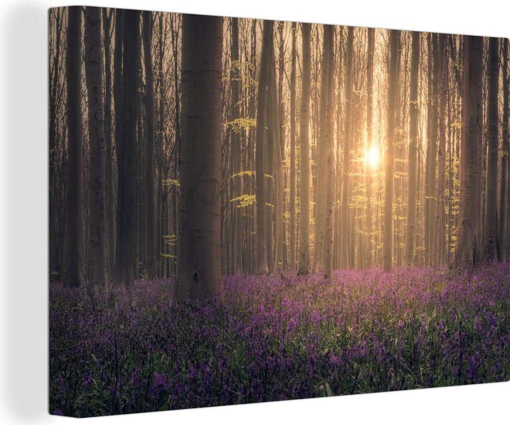 OneMillionCanvasses - Leinwandbilder - 140x90 cm, Frühling - Blumen - Wald, Wandbilder Kunstdruck Wanddekoration
