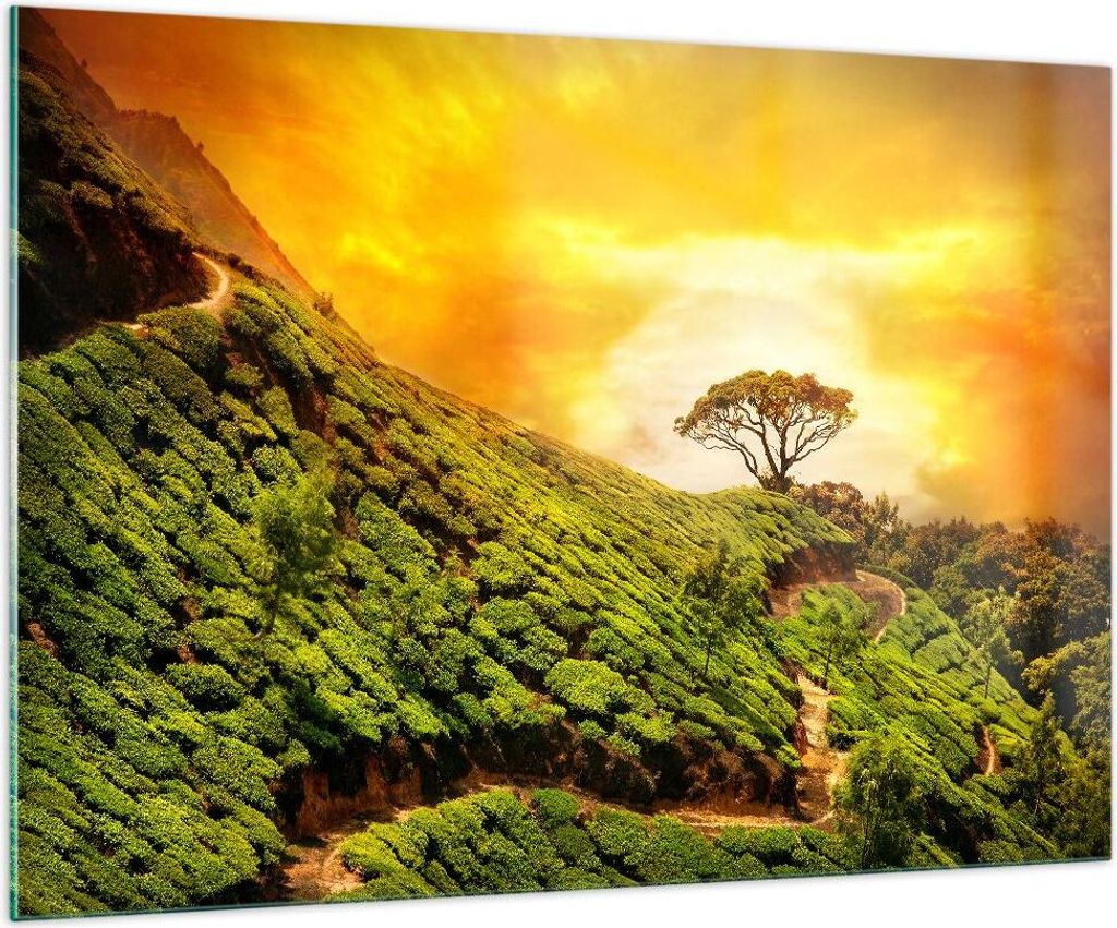 Bilder auf glas - Berg Baum Pfad Hügel - 100x70cm - Glasbilder - Wandbilder - Kunstdruck - zum Aufhängen bereit - Wanddekoration aus Glas - Glas ...