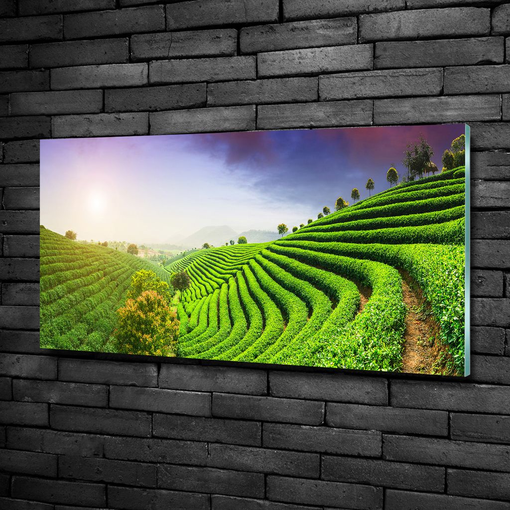 Tulup® Glas-Bild - 100x50 -Wandkunst - Wandbild hinter Produktbild 