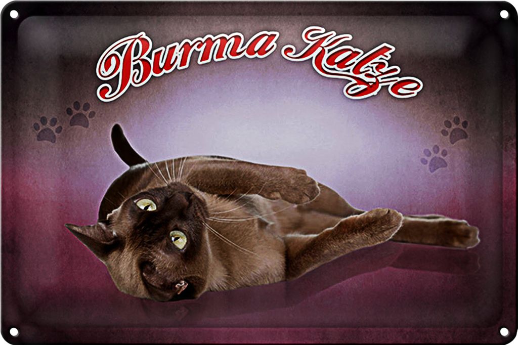 Blechschild Katze 30x20cm Burma Katze