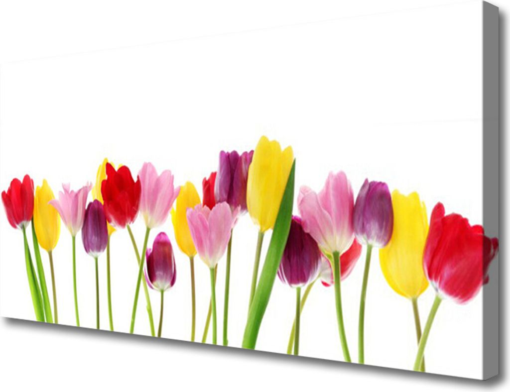 Tulup Leinwand-Bilder 100x50 Wandbild Canvas Kunstdruck Tulpen Pflanzen