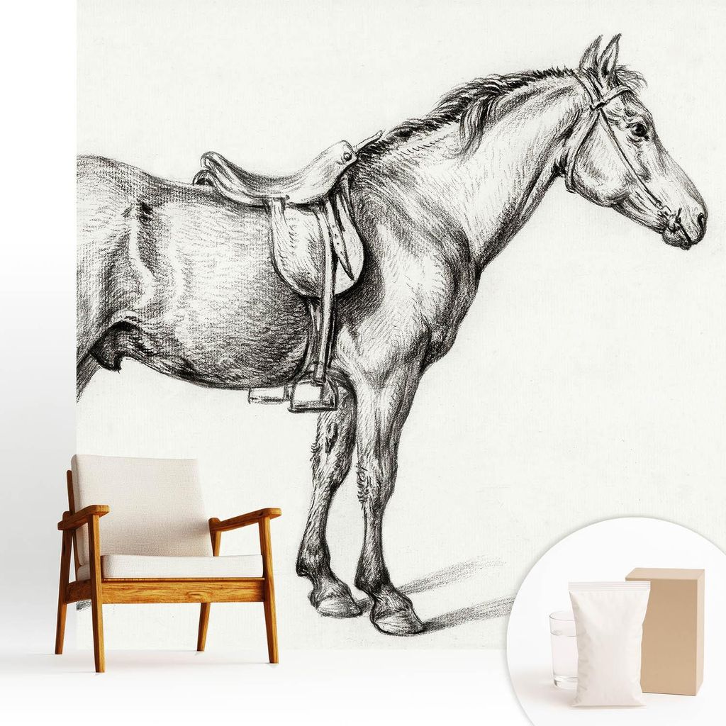 Fototapete - 250x250 cm - Tapete - Wandtapete - Wandbilder - Dekofolie - Tapete Folie - Wand - Dekoration - Wohnzimmer - Skizze eines Pferdes