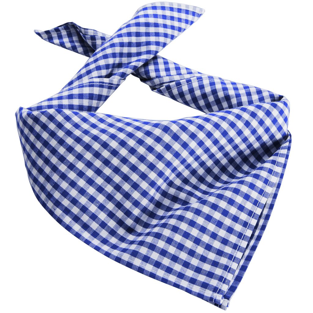 Trachtentuch kariert - blau/weiß Produktbild 1