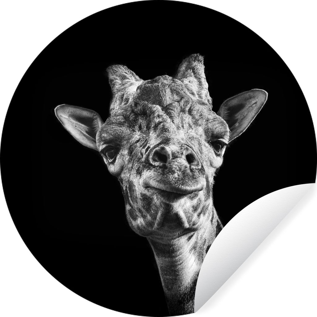 MuchoWow Runde Wandtattoo - Wandsticker Tapete Aufkleber Giraffe - Tier - Schwarz - Weiß Ø 100 cm Selbstklebend und Repositionierbar - Wandaufk...