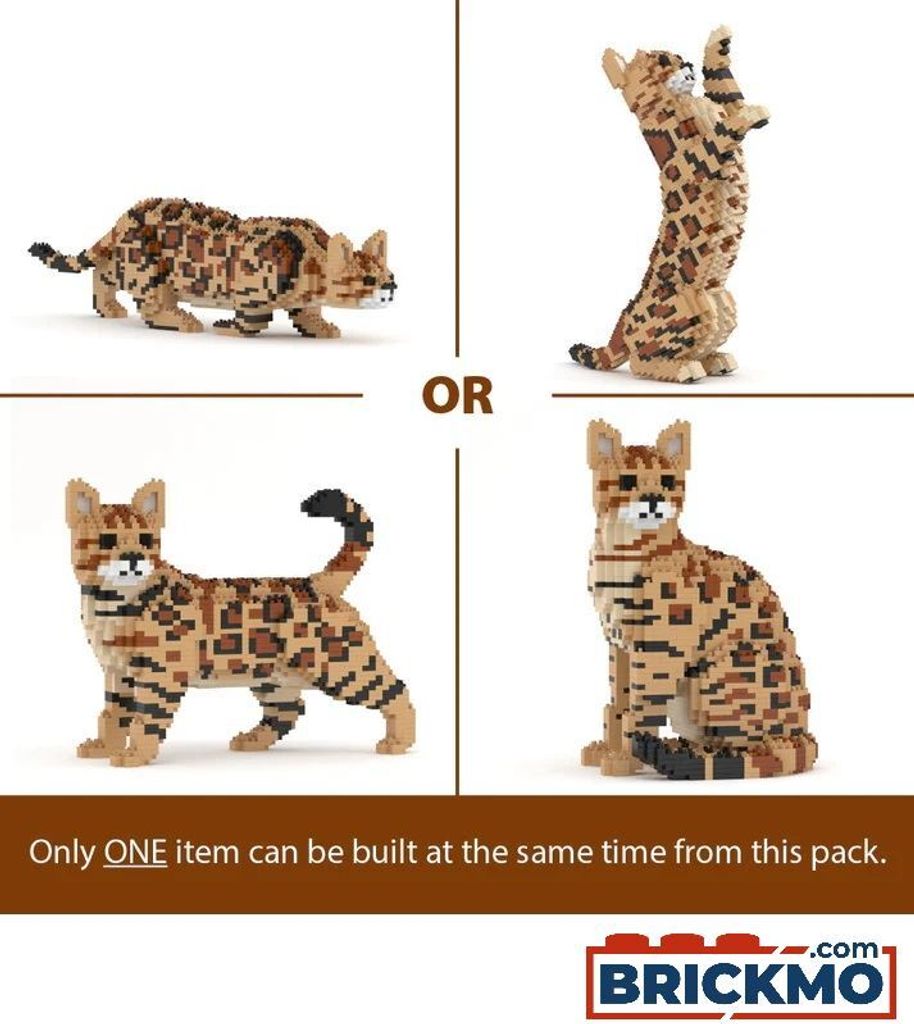 A collage of four different brick-built Bengal cat models, with the text 'OR' separating the top two from the bottom two. A disclaimer at the bottom states that only one item can be built at a time from the pack. The Brickmo logo is visible at the bottom r