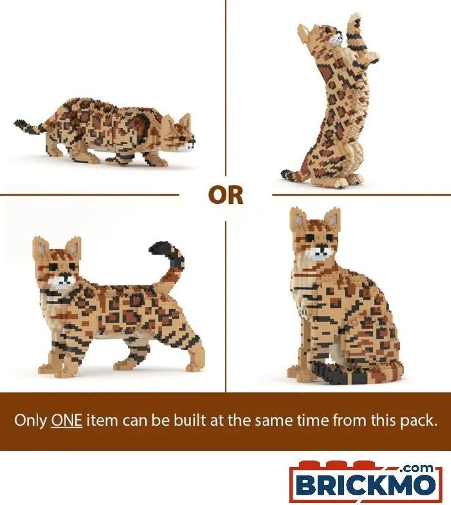 JEKCA Bricks Bengal Cat Pack 4 en 1 ST19BGC01-M01 Jeu de Construction