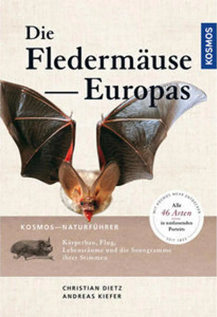 Reconnaître facilement les chauves-souris d'Europe : Guide Naturführer