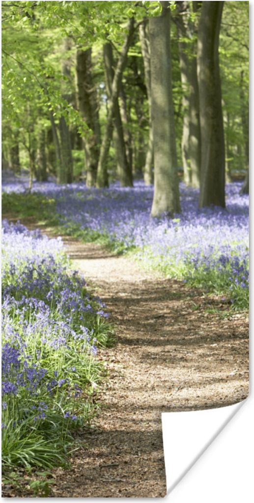 MuchoWow Poster Wald - Weg - Blumen - Lila - Grün - Natur 75x150 cm - Dekoration für die Wände