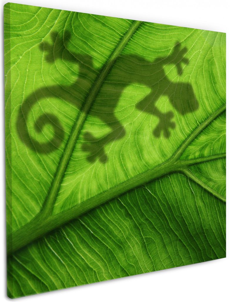 Wallario Premium Leinwandbild Gecko Schatten auf grünem Blatt - Umriss in Größe 50 x 50 cm