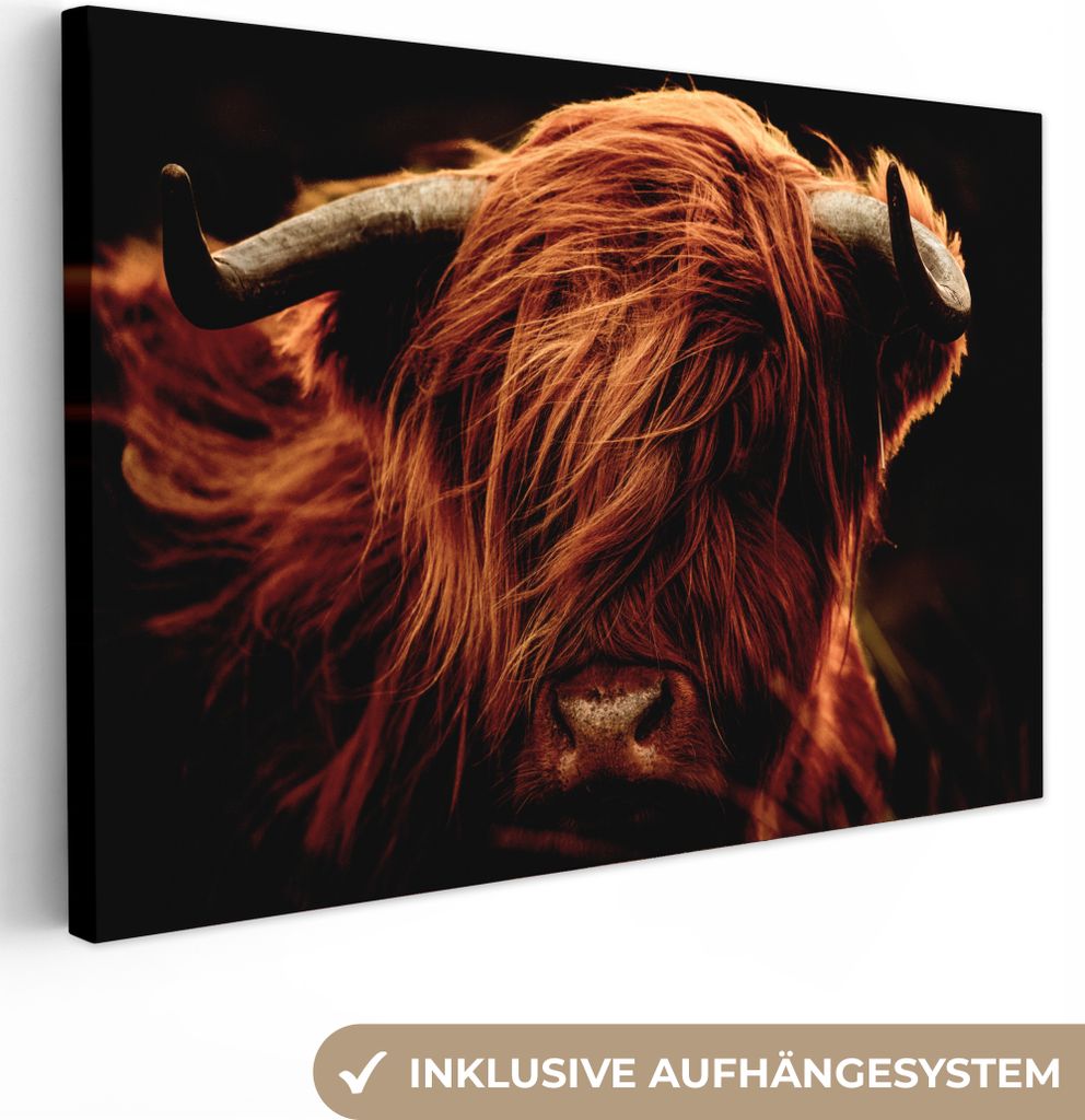 MuchoWow - Leinwandbilder - Schottischer Highlander - Kuh - Hörner - Porträt - Tiere, Wandbild, Wanddeko Bilder Wohnzimmer, 120x80 cm