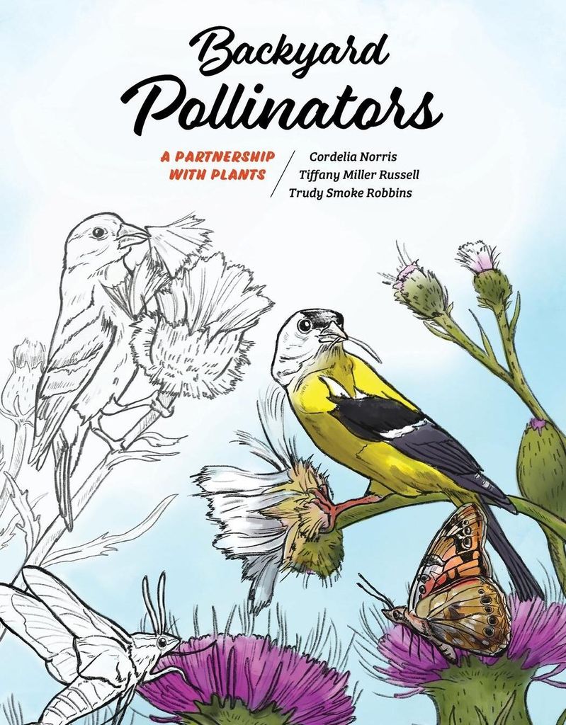 Backyard Pollinators