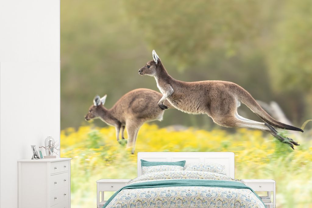 MuchoWow Fototapete für Wohnzimmer oder Schlafzimmer Wandtapete Vinyl Motivtapete Kängurus - Blumen - Tiere - 265x220 cm - Die Küche