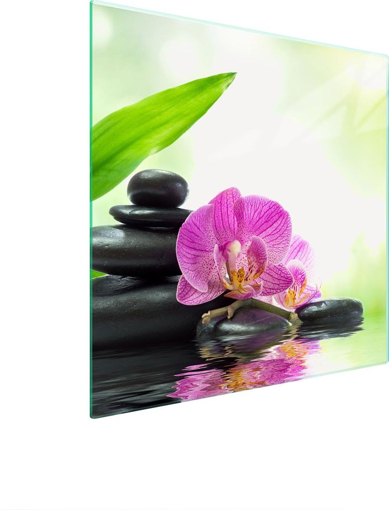 Glasschutzplatte Für Herd 50X52 Orchidee