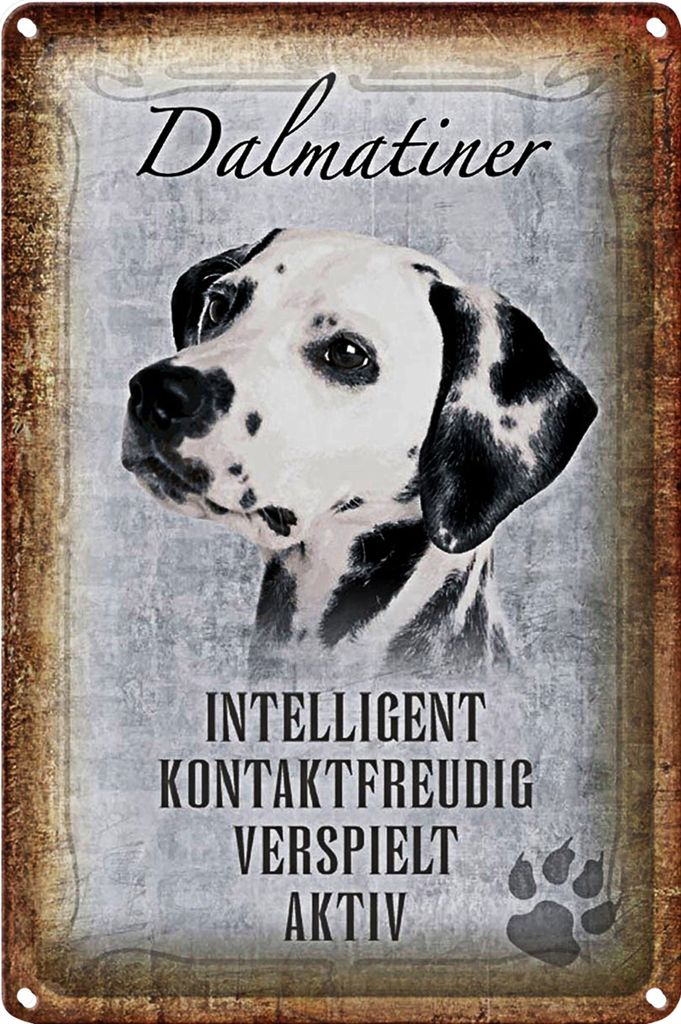 Blechschild Spruch 18x12cm Dalmatiner Hund