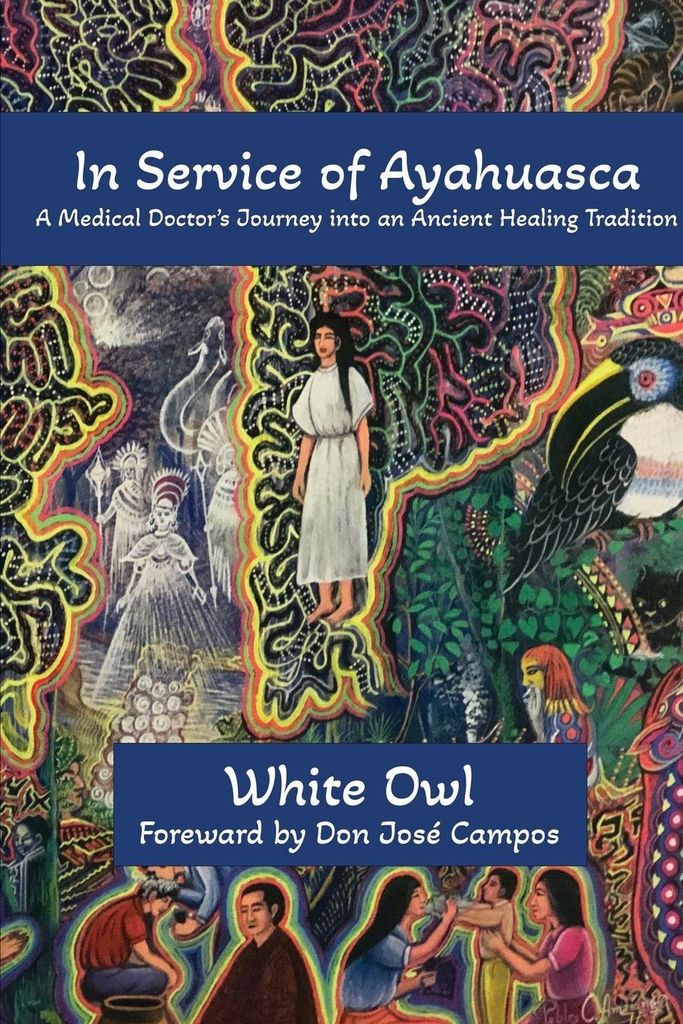 In Service of Ayahuasca - A Medical Doctor's Journey into an Ancient Healing Tradition