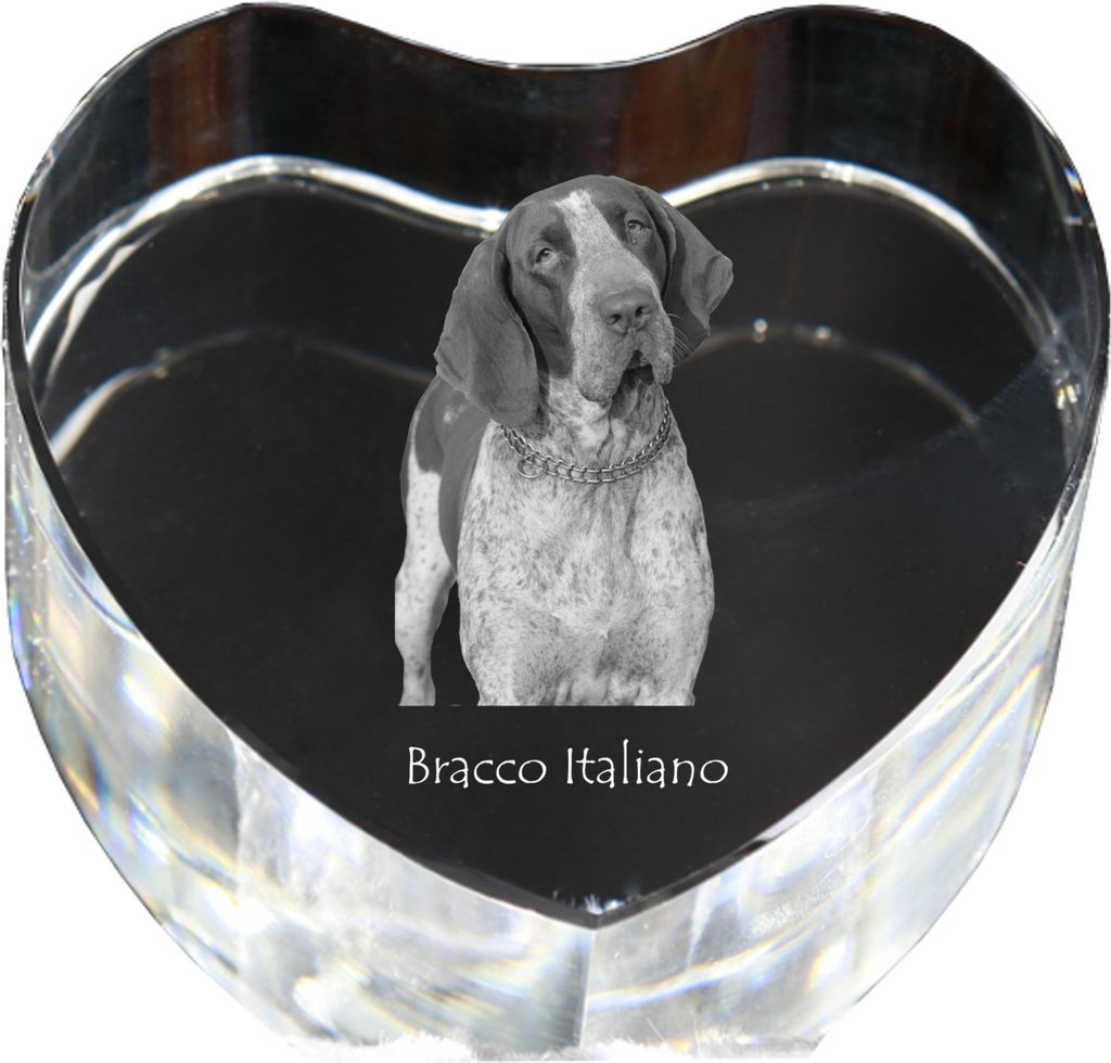 Italienischer Vorstehhund, Bracco Italiano - Hundebild im Kristall, Kristallherz, einzigartiger Bilderrahmen der Marke Art-Dog