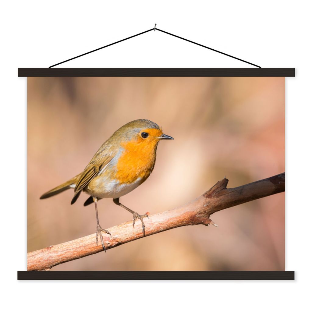 MuchoWow Textilposter Vogel - Zweig - Rotkehlchen 60x45 cm mit schwarzem Rahmen - Poster Schlafzimmer