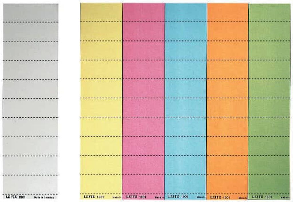 LEITZ Blanko Beschriftungsschildchen (B)60 x (H)21 mm grün 4-zeilig 100 Stück