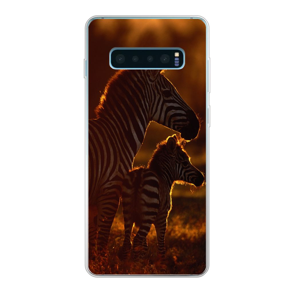 MuchoWow Handyhülle Schutzhülle Hülle für Samsung Galaxy S10 Plus Zebra - Sonne - Fohlen Silikon Softcase Handy Hülle - Schutzhülle