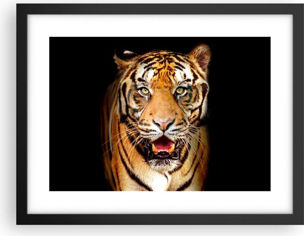 Gerahmtes Poster - Schwarzer Rahmen - tiger tier - 40x30 cm - Wand Bild - Wanddeko - Wandbilder - Kunstposter - Wandposter - Bilderrahmen - Bilder ...
