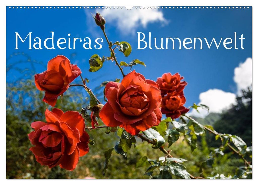 Madeiras Blumenwelt (Wandkalender 2027 DIN A2 quer), CALVENDO Monatskalender