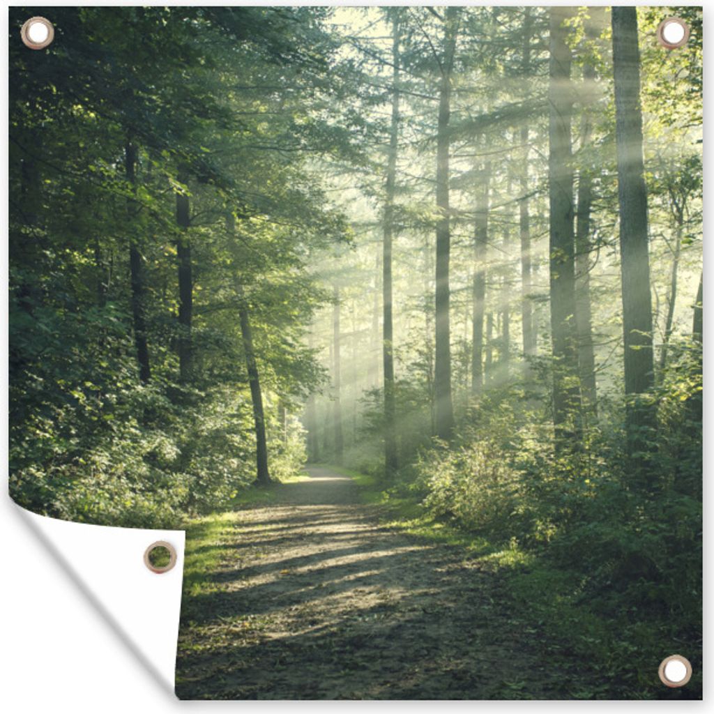 MuchoWow 100x100 cm Outdoor-Poster Gartendeko Sichtschutz Garten Poster für den Garten Wald - Licht - Weg