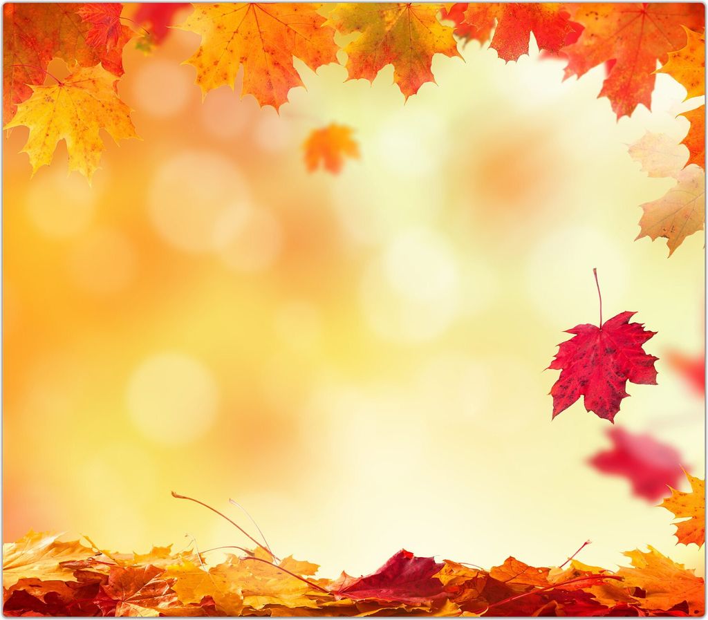 Spritzschutz Herdabdeckplatte Schneidebrett aus Glas Herbststimmung 1-Teilig (60x52cm)