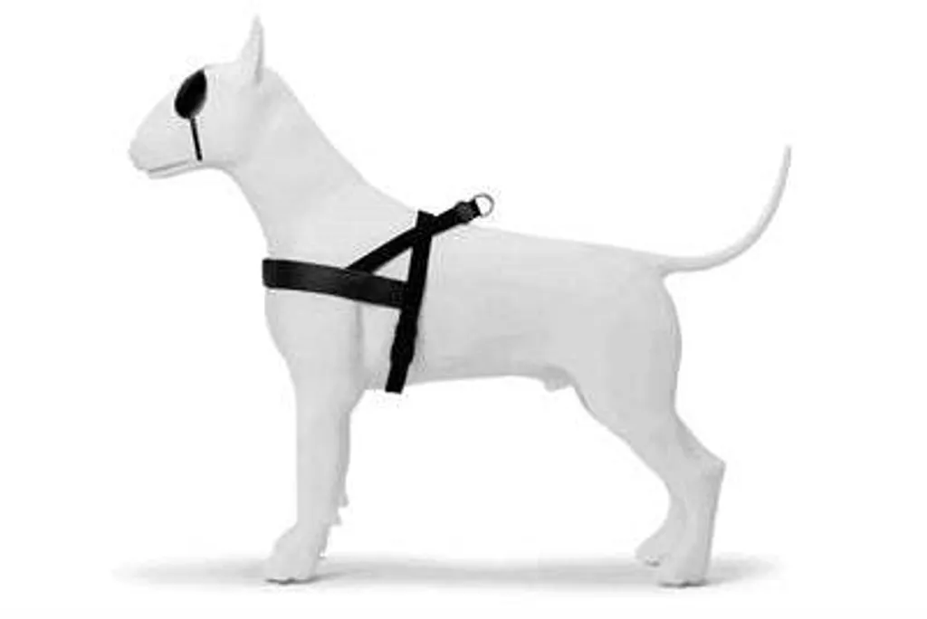 Pettorina Morso Pureness Nero: L'Eleganza del Made in Italy per Cani