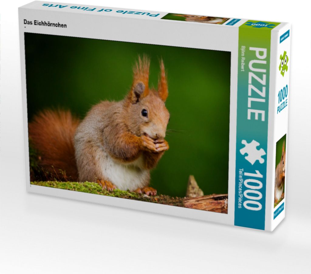 CALVENDO Puzzle Das Eichhörnchen | 1000 Teile Lege-Größe 64x48cm Foto-Puzzle für glückliche Stunden