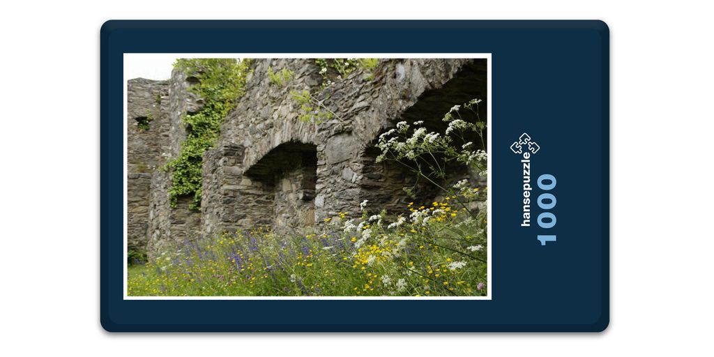 hansepuzzle 19229 - Burg-Ruine Puzzle, 1000 Teile, Gebäude, 60,0 x 46,0cm mit hochwertiger Aufbewahrung, Kartonbox und wiederverschließbarem Beutel