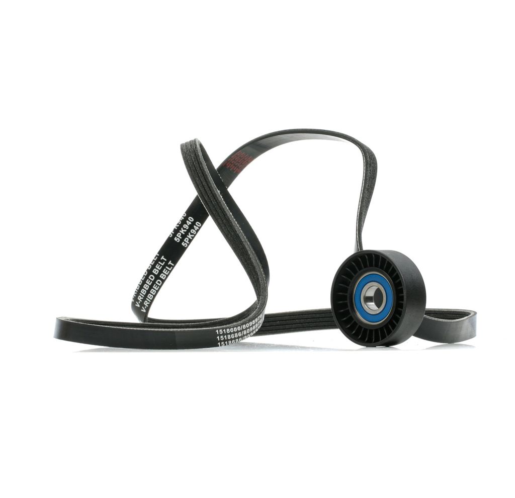 RIDEX 542R0889 Keilrippenriemensatz für FIAT STILO (192)