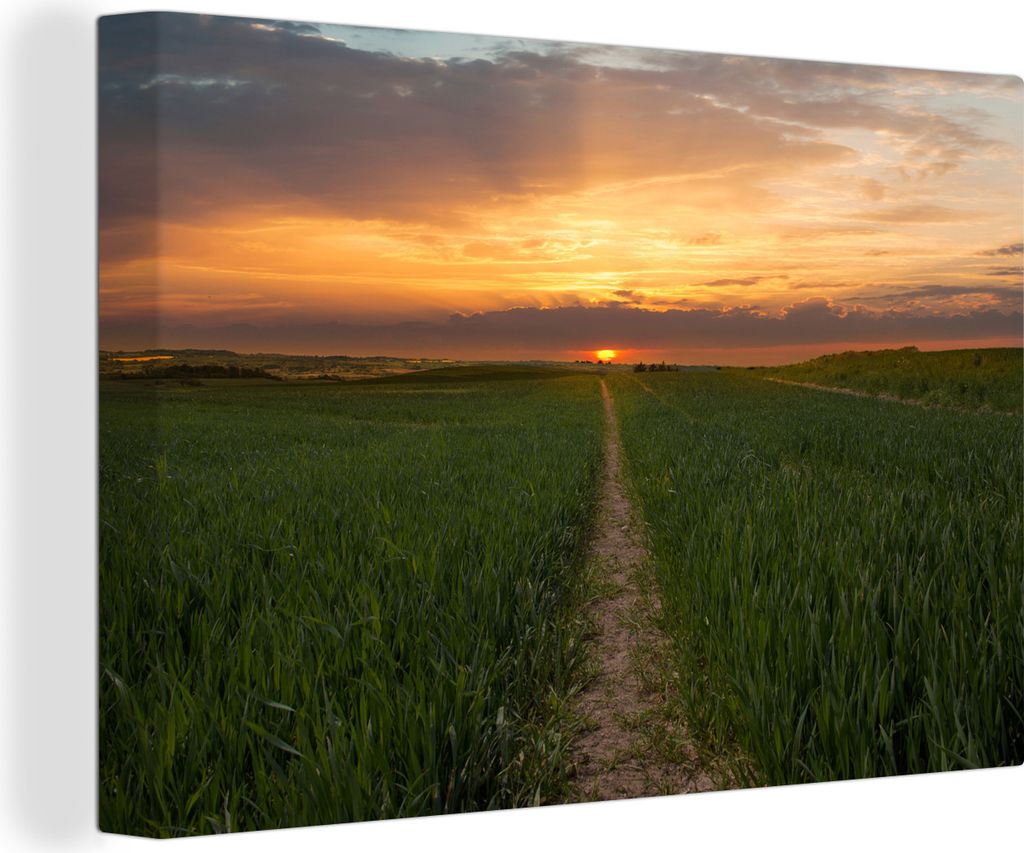 OneMillionCanvasses - Leinwandbilder - 140x90 cm, Sonne - Gras - Straße, Wandbilder Kunstdruck Wanddekoration - Foto auf Leinwand - Gemälde auf...