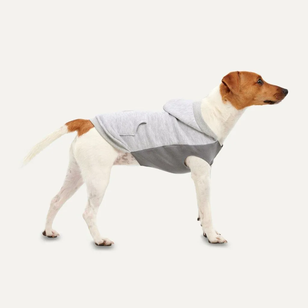 Goo-eez Kangaroo Fleece Dog Hoodie Grey | Fashion & Comfort per il tuo Cane